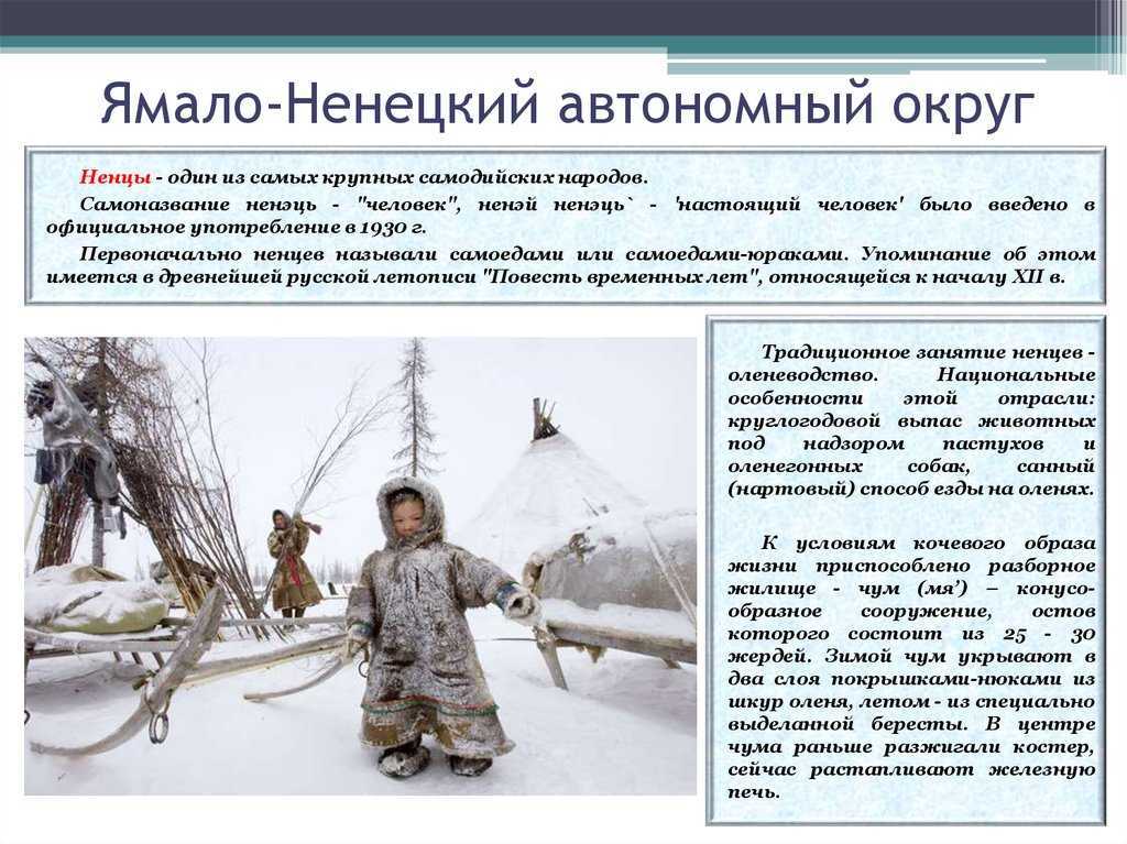 Самолеты вместо маршруток, или как живет нарьян-мар – столица самого богатого и пьющего региона