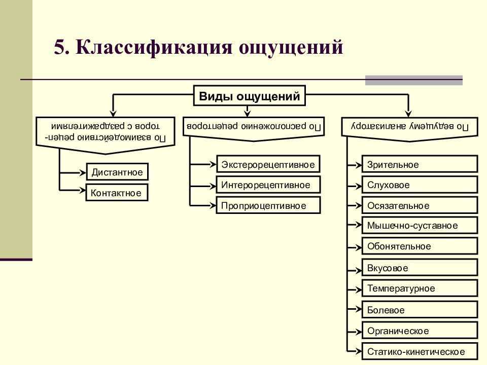 Восприятие и оценка объектов на основе определенных схем