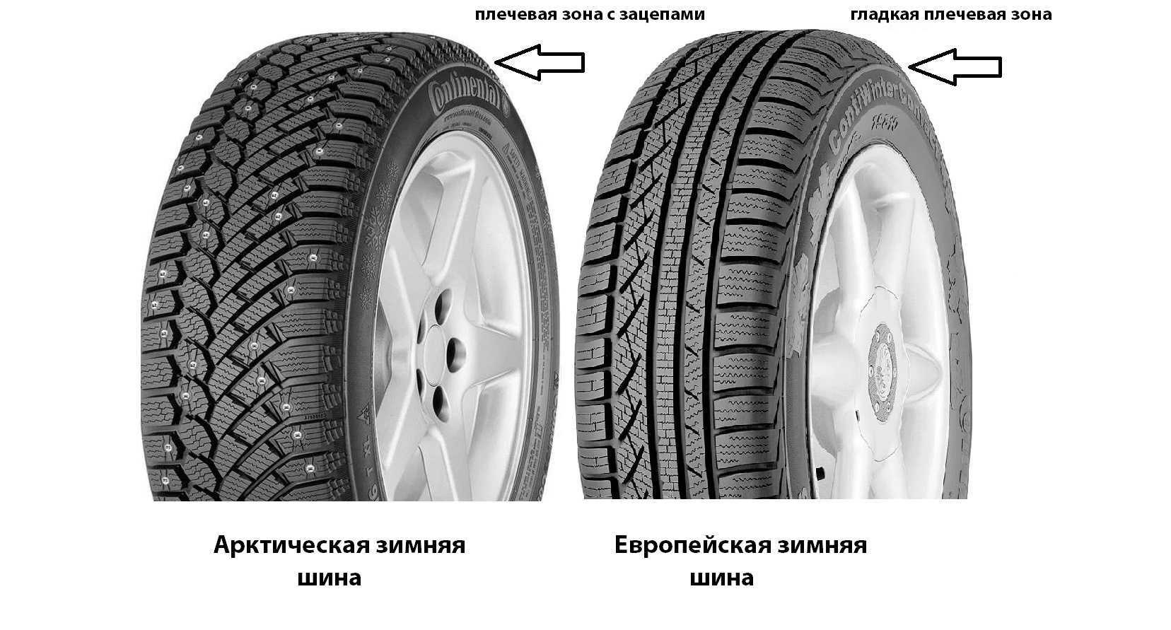 Чем отличаются зимние шины от летних? чем зимняя резина отличается от летней? разница между зимней и летней резиной