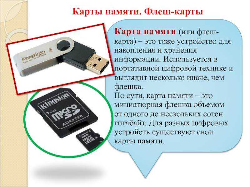 Нужен ли тахограф на личный автобус?