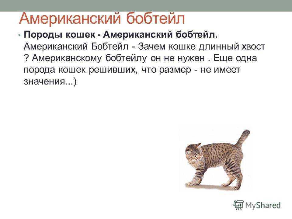 Кармический хвост в матрице судьбы: что это, расчет и расшифровка
кармический хвост в матрице судьбы: что это, расчет и расшифровка