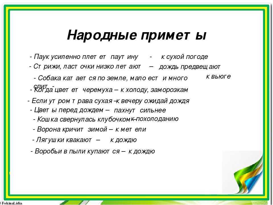 Приметы вечера. Паук примета. Пауки народные приметы. Народные приметы связанные с пауками. Паук по народным приметам.