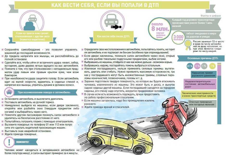 Каково влияние транспорта на окружающую среду в 2021 году