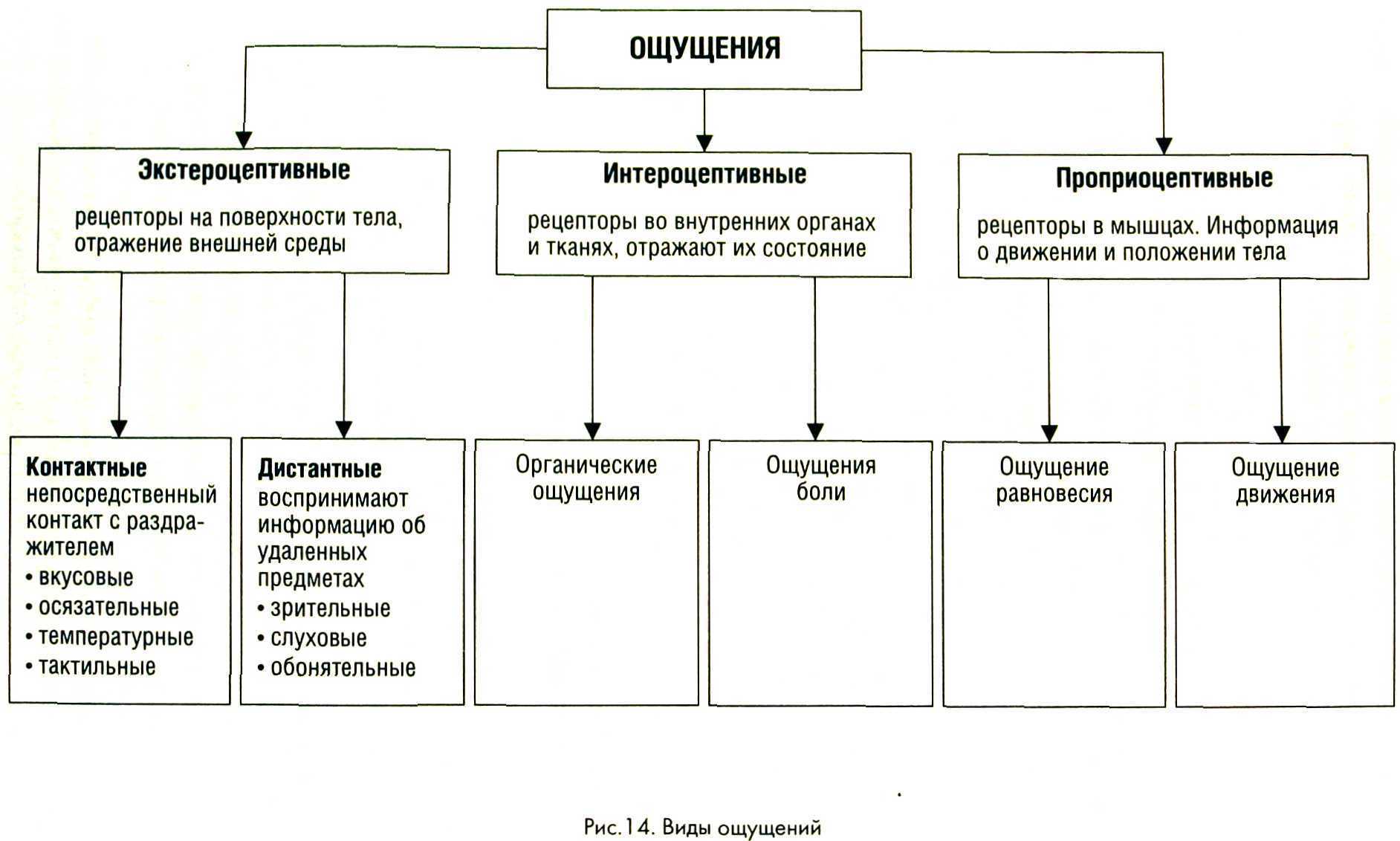 Онемение в ноге