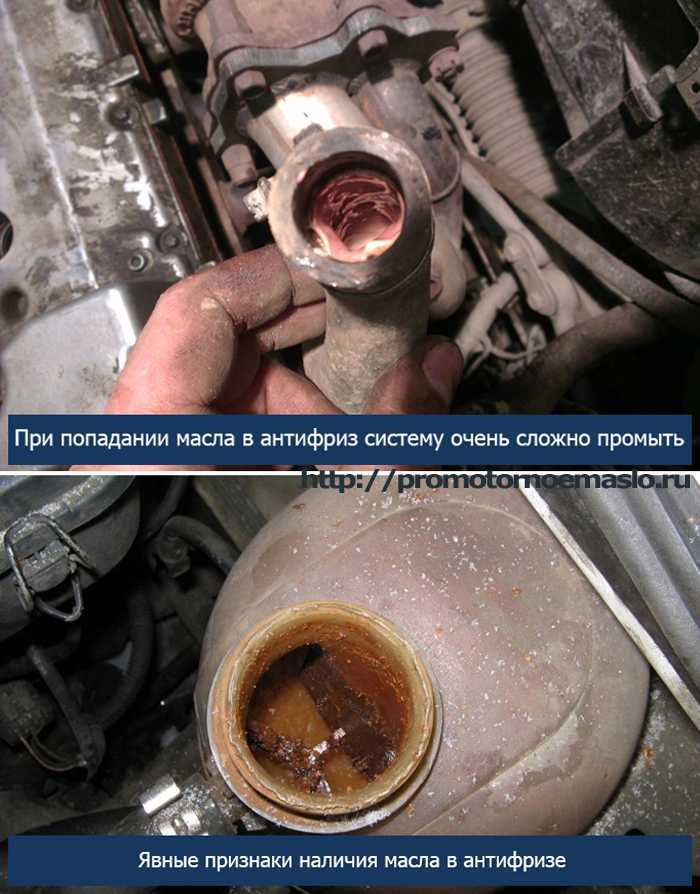 Почему масло попадает в антифриз, чем опасно и что делать