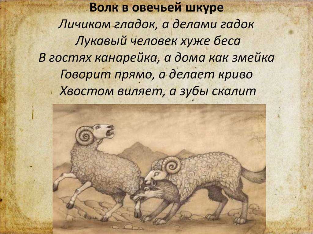 Фразеологизм "волк в овечьей шкуре": происхождение, значение и толкование