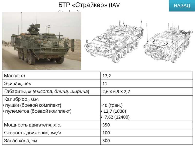 Новый бронеавтомобиль ахмат. что известно про новый российский броневик