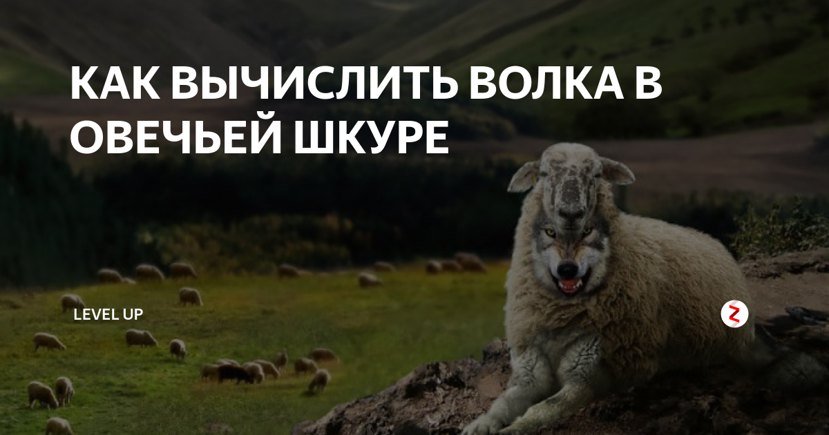 Волк в овечьей шкуре