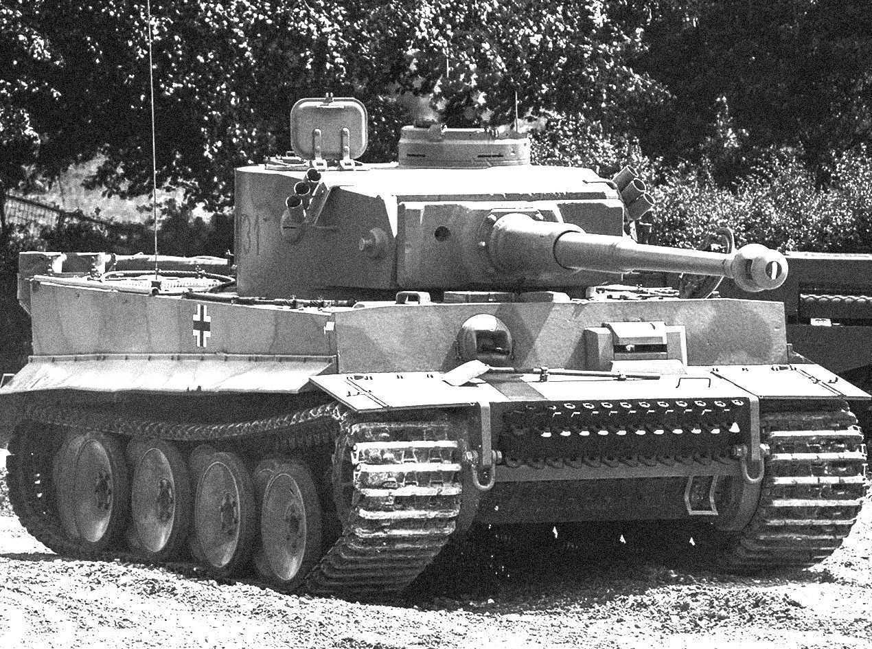 Tiger i