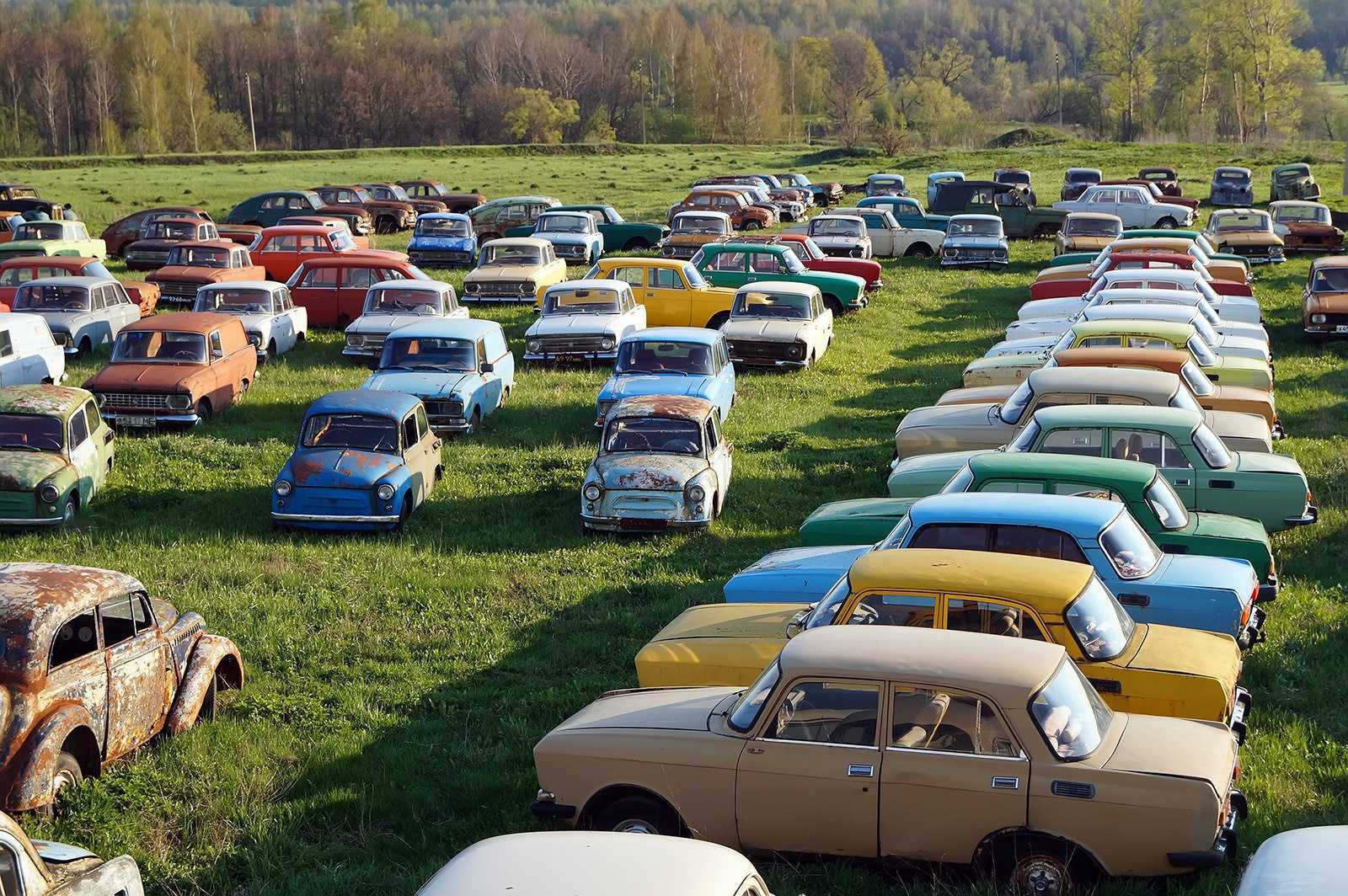 Чернский романтик: как собрать в деревне музей из 300 ретро-автомобилей